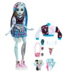 Monster High Ana Karakter Bebekler Frankie Stein HPD53-HHK53 - Görsel 3